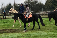 IMG-20191127-WA0017