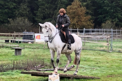 IMG-20191127-WA0037
