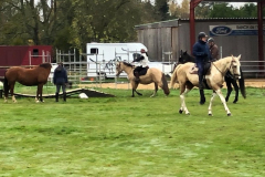 IMG-20191127-WA0043