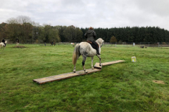 IMG-20191127-WA0045