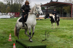 IMG-20191127-WA0053