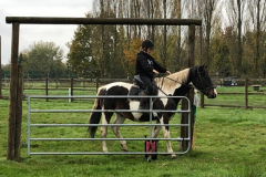 IMG-20191127-WA0094