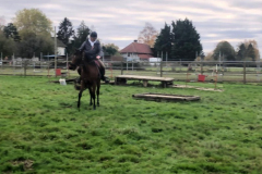 IMG-20191127-WA0110