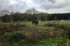 IMG-20191127-WA0114