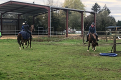 IMG-20191127-WA0116
