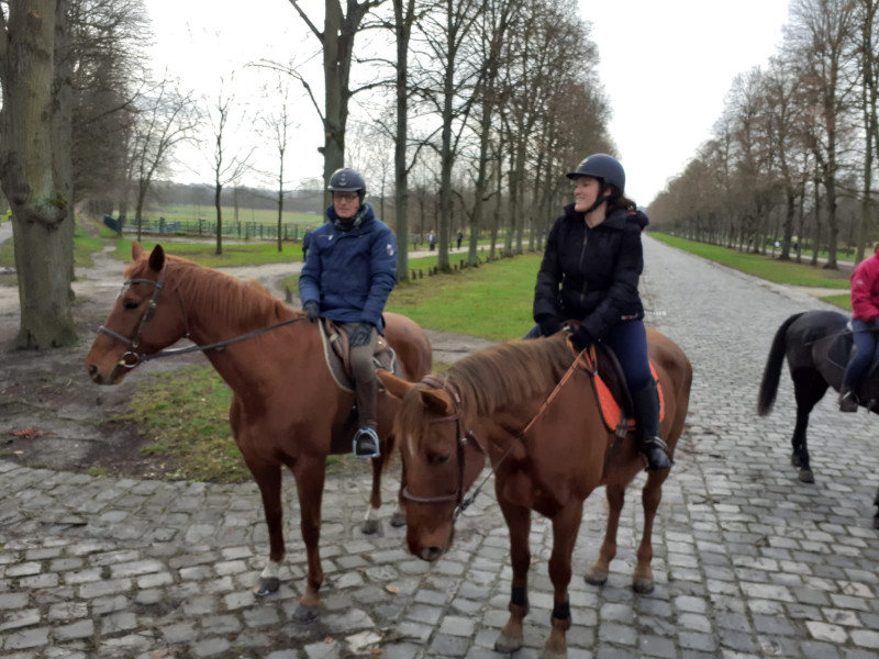 IMG-20191217-WA0009