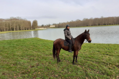 IMG-20191217-WA0006