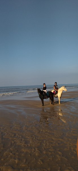 IMG_20211009_172250