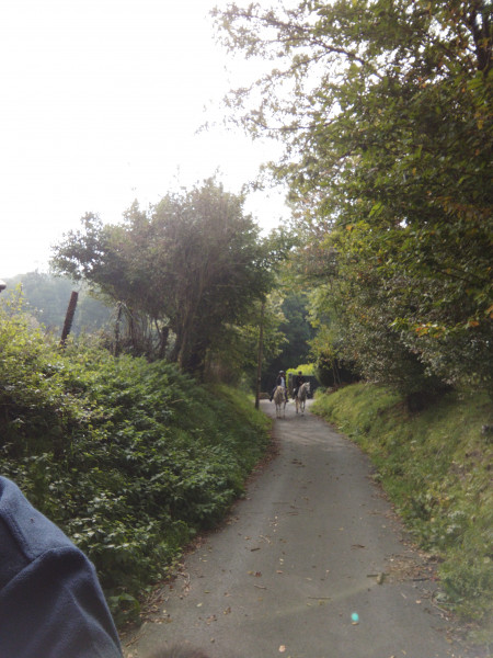 IMG_20211010_115628-Copie