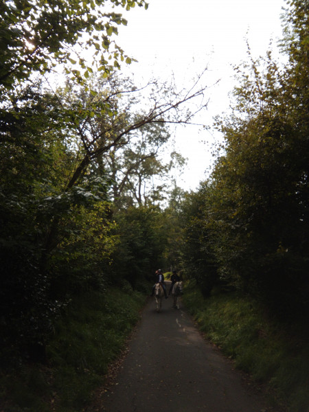 IMG_20211010_115750