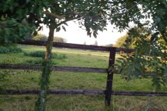 IMG_20211009_182921