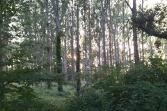 IMG_20211009_183138-Copie
