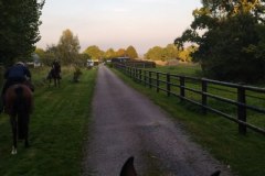 IMG_20211009_183214-Copie