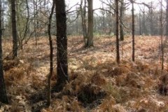 IMG_20220213_114419