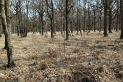 IMG_20220213_124952