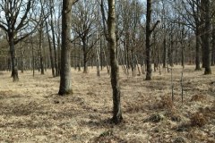 IMG_20220213_124954