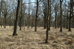 IMG_20220213_124956