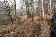 IMG_20220213_125653