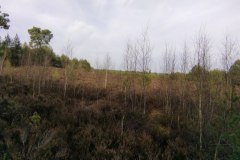 IMG_20220213_131547