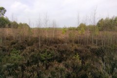 IMG_20220213_131550