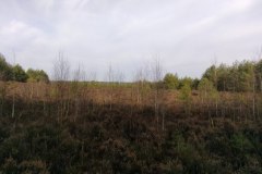 IMG_20220213_131553