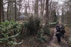 IMG_20220213_132210