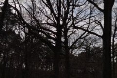 IMG_20220213_135024