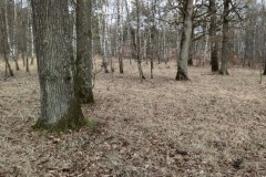 IMG_20220213_135035