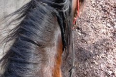 IMG_20220213_135528