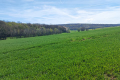 IMG_20220410_122645