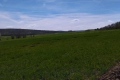 IMG_20220410_122709