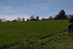 IMG_20220410_123414