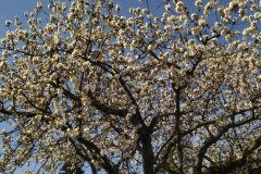 IMG_20220410_124405