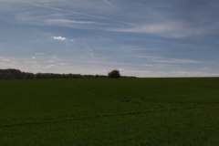 IMG_20220410_125849
