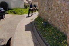 IMG_20220410_130846