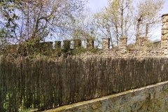 IMG_20220410_130901