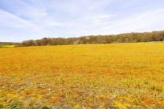 IMG_20220410_134104