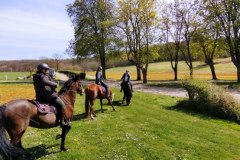 IMG_20220410_134156