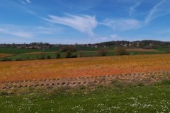 IMG_20220410_134722