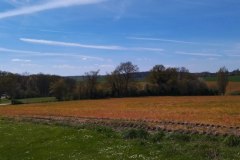 IMG_20220410_134803