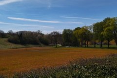 IMG_20220410_135158