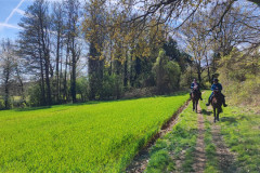 IMG_20220410_143132