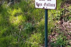 IMG_20220410_144507