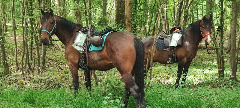 IMG_20220508_132410