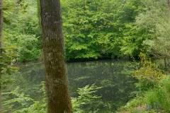 IMG_20220508_113320