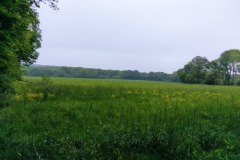 IMG_20220508_113838