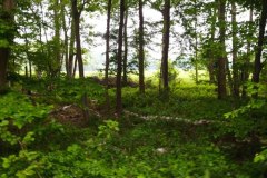 IMG_20220508_114117