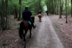 IMG_20220508_123446