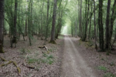 IMG_20220508_123522