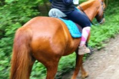 IMG_20220508_123603